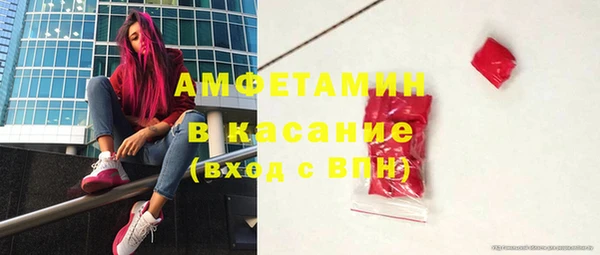 мет Алексин