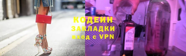 мет Алексин