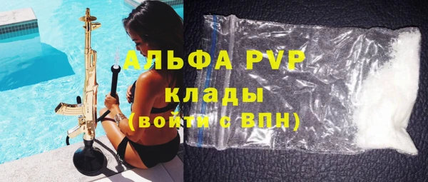 мет Алексин