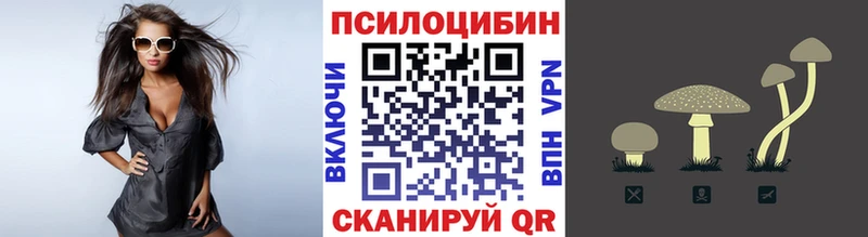 сайты даркнета Telegram  Конаково  Галлюциногенные грибы MAGIC MUSHROOMS 